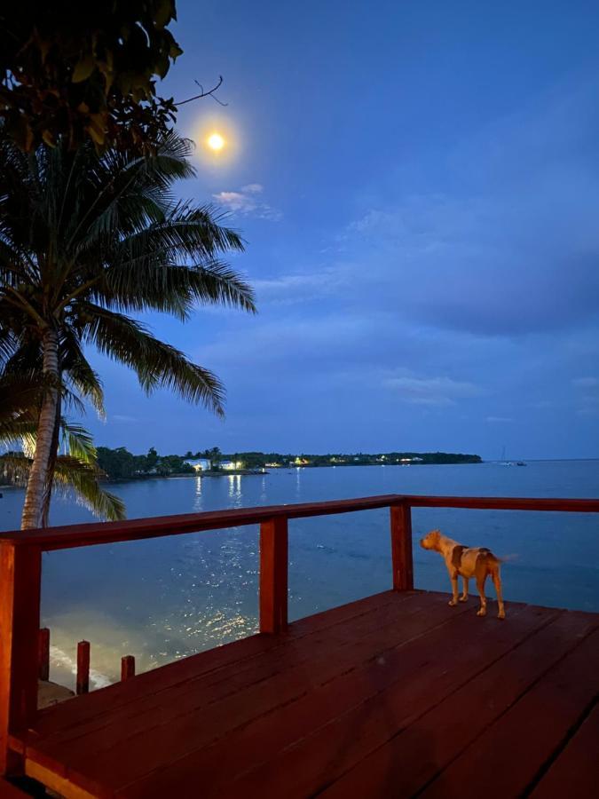 Las Palmeras Oceanview Hotel And Dive Center Ilhas do Milho Exterior foto