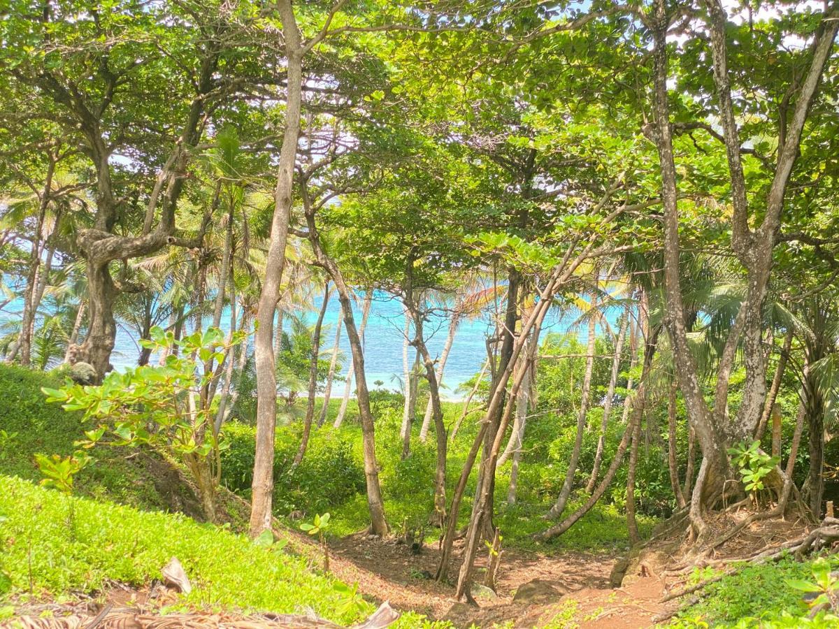 Las Palmeras Oceanview Hotel And Dive Center Ilhas do Milho Exterior foto